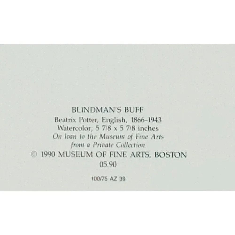 Museum Of Fine Arts Boston Blindman’s Buff Beatrix Potter 20 Notecards Envelopes